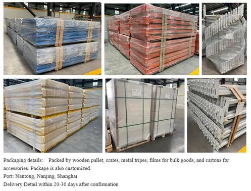 Metal Shelf Drive in Rack Pallet Racking in Cold Warehouse China Manufacture with Custom Size